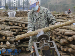 重慶云陽(yáng)：?jiǎn)?dòng)80萬(wàn)段黑木耳鉆孔工作 ()