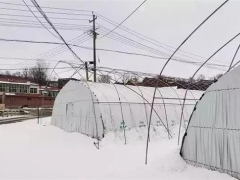 從危房、土路到光伏、香菇——這個(gè)村“三招”走向脫貧致富 ()