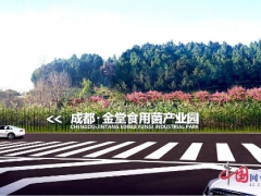 “一對(duì)一”專(zhuān)人服務(wù) 成都金堂食用菌產(chǎn)業(yè)園復(fù)工復(fù)產(chǎn) ()