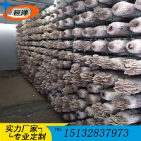 江西省綠色蘑菇網(wǎng)片 現(xiàn)代化大棚出菇網(wǎng)格架 食用菌規(guī)?；B(yǎng)殖架