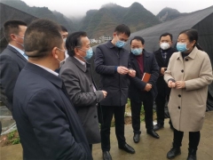 貴州省市食用菌專家走進德江田間地頭 “把脈問診” ()