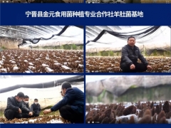 超1.78萬人次，3400條留言！2020第五屆全國羊肚菌大會圓滿結束 ()