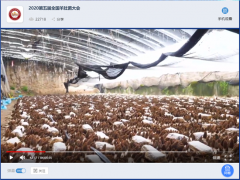 寧晉縣金元食用菌種植專業(yè)合作社帶領2020第五屆全國羊肚菌大會代表遠程參觀羊肚菌基地 ()