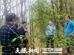 專家助力，冊亨縣確定首期2萬棒林下紅托竹蓀試點基地 ()