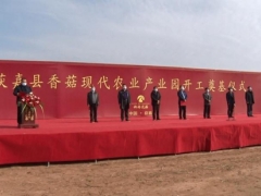 總投資4000萬 占地200畝 獲嘉縣香菇現(xiàn)代農(nóng)業(yè)產(chǎn)業(yè)園項目開工奠基 ()
