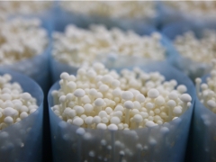 別慌，您可以放心地吃金針菇！ ()