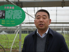 聚焦熱點  弘亞·2020第二屆中國大球蓋菇產(chǎn)業(yè)發(fā)展大會圓滿結(jié)束 ()