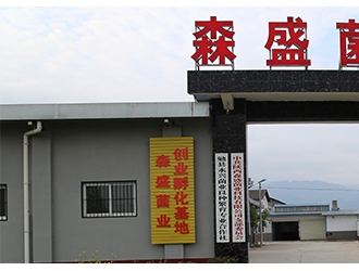 陜西森盛菌業(yè)有限公司傾情贊助2020中國天麻產(chǎn)業(yè)網(wǎng)絡(luò)大會(huì) ()