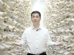 縣委書(shū)記路斌為道真食用菌代言！ ()