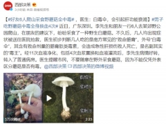 千萬別亂吃！好友6人爬山采食野蘑菇全中毒 ()