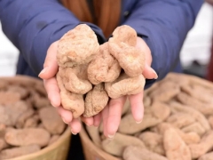 靈芝、天麻陸續(xù)解鎖“藥食同源” 對(duì)未來影響幾何？ ()