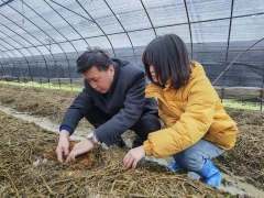 大球蓋菇（紅松茸）產(chǎn)業(yè)分會(huì)會(huì)長(zhǎng)、華中農(nóng)業(yè)大學(xué)邊銀丙教授前往武漢蔡甸大球蓋菇基地考察