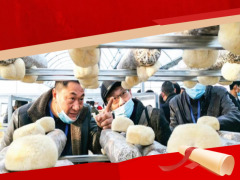 祝賀！“隨縣香菇種植工”上榜湖北省十大勞務(wù)品牌 ()