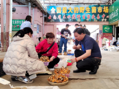 本地野生菌開(kāi)始“唱主角” 云南木水花交易中心每天上市200公斤 ()