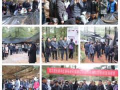 行業(yè)反響熱烈！第五期全國(guó)羊肚菌標(biāo)準(zhǔn)化規(guī)?；N植及風(fēng)險(xiǎn)防控培訓(xùn)班在云南玉溪舉行
